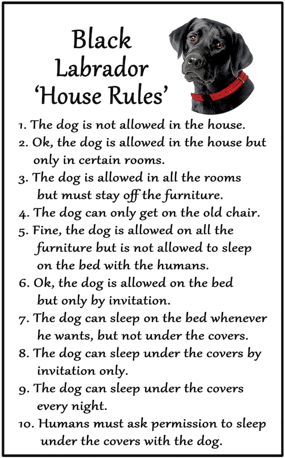 gifts for black lab lovers