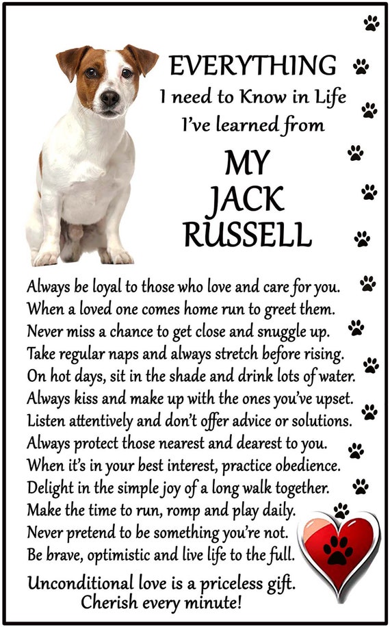 gifts for jack russell lovers