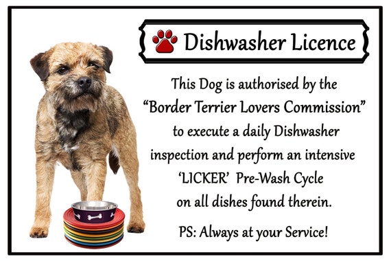 large border terrier