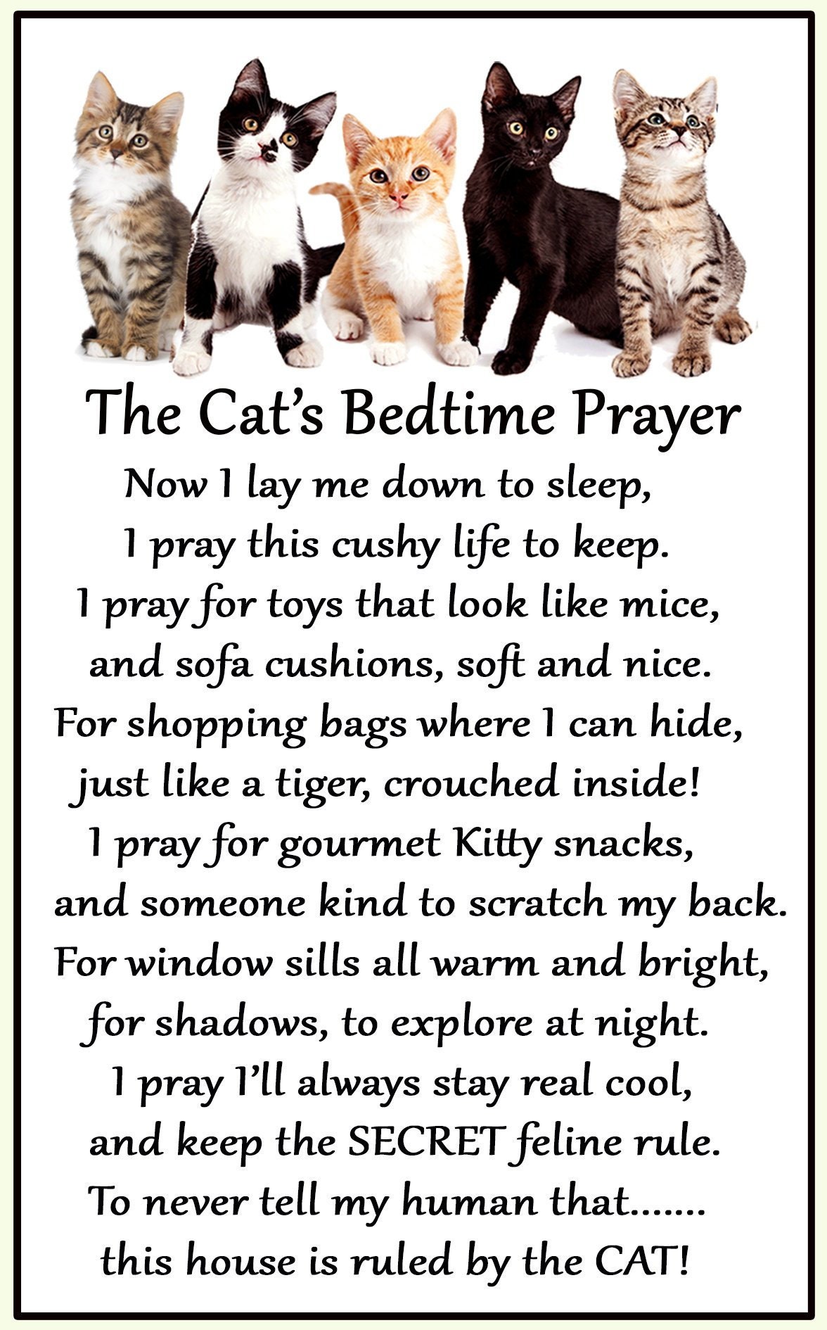 Bedtime Prayer Ubicaciondepersonas cdmx gob mx