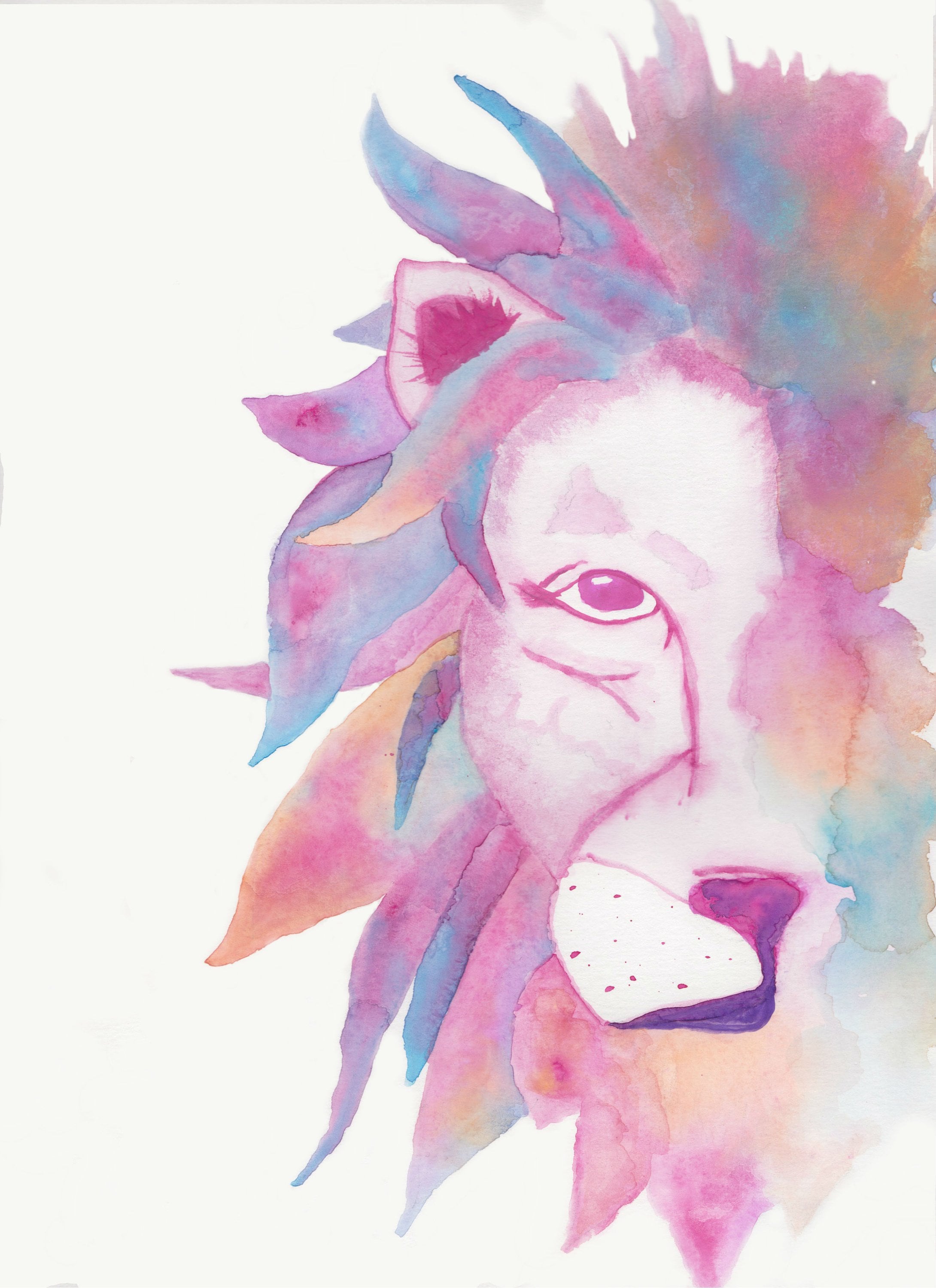 Fierce Pink Lion Watercolor Print Pink Blue Yellow Close | Etsy