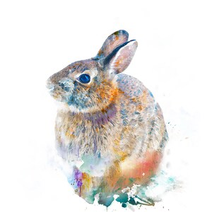 Rabbit Print Watercolour Art Poster. Rabbit Printable. Bunny Print Wall Art. Animal Prints Unframed