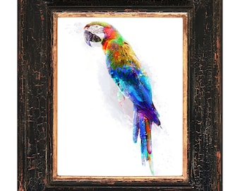 オウムのプリント 熱帯の鳥 水彩画 壁アート エキゾチックな鳥 オウム
