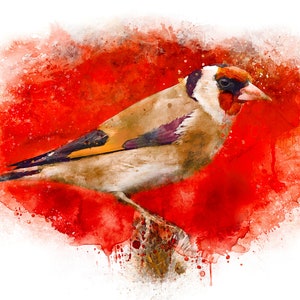 Goldfinch Art Print: Wildlife Bird Poster, Unframed