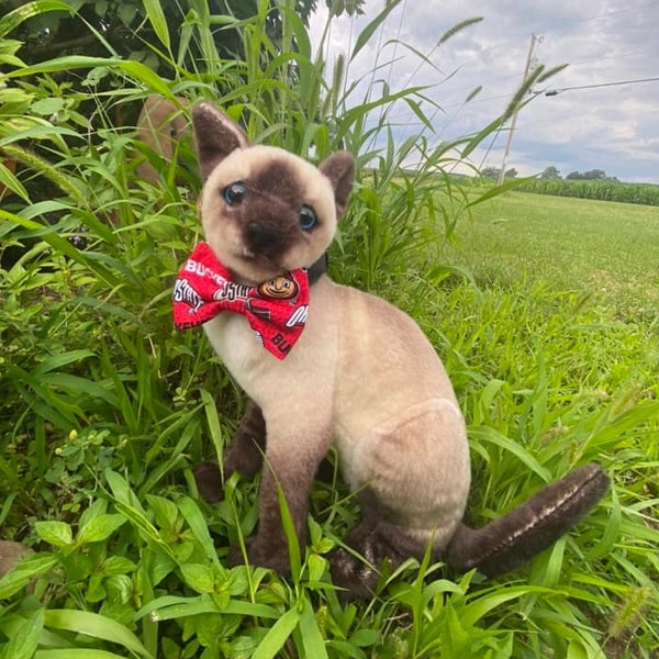 Ohio cat bow tie, Dog bow tie, Ohio sailor bow, OSU cat bow tie, OH pet bow tie, Brutus bow tie, Buckeye bow tie, Ohio pet accessories, USA