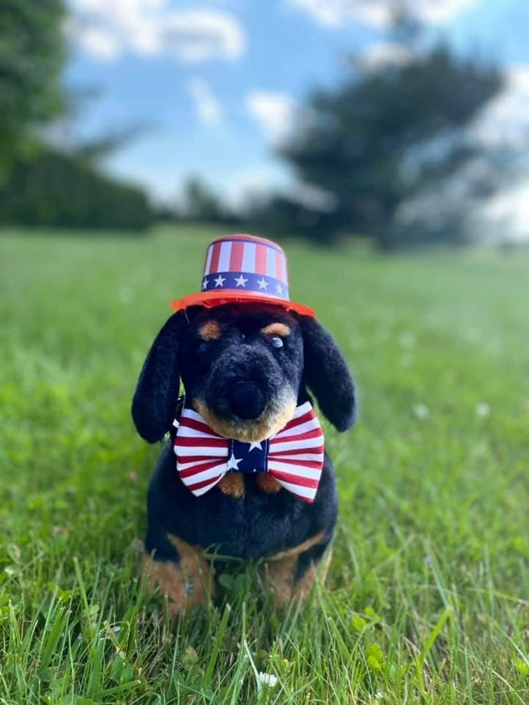 Handmade USA Bow Ties, Pet Bow Ties, the Red Blue and White, Patriotic