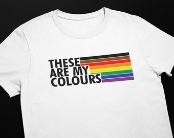 Inclusive Pride Flag T-Shirt | Organic Cotton Gay Pride Shirt