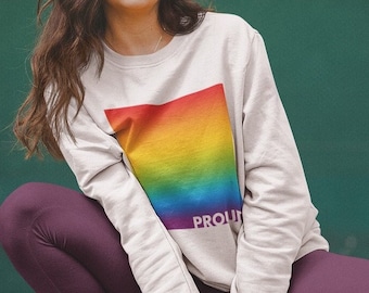 Sudadera Lgbt Orgullo Gay Arcoiris Pride Dinosaurio Bandera