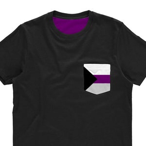 Demisexual Pride Shirt | Demisexual Flag | Queer Pride T Shirts | Demi Pride | Demisexuality | LGBTQ Gifts | Pride Flags
