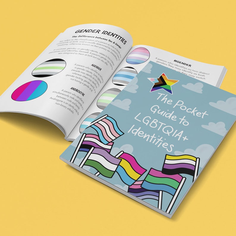 Pocket Guide to LGBTQIA Identities Queer Pride Zine Book of Pride Flags LGBTQ Ally Gift Queer Identities LGBTQ Gifts image 5