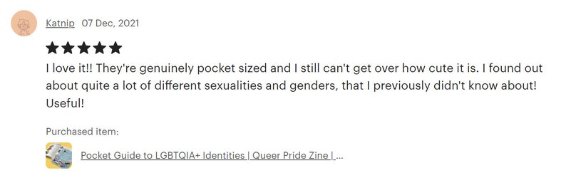 Pocket Guide to LGBTQIA Identities Queer Pride Zine Book of Pride Flags LGBTQ Ally Gift Queer Identities LGBTQ Gifts image 7