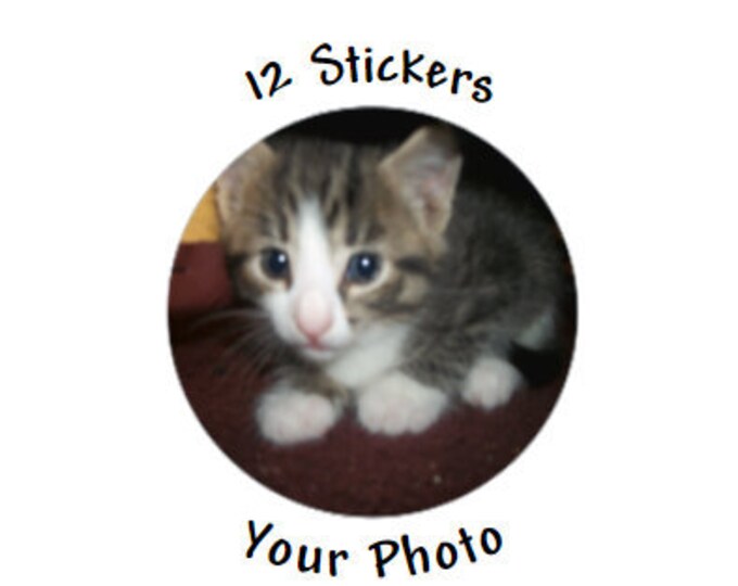 Custom Photo Stickers Custom Stickers 12-2 in Round Stickers Your Photo ...