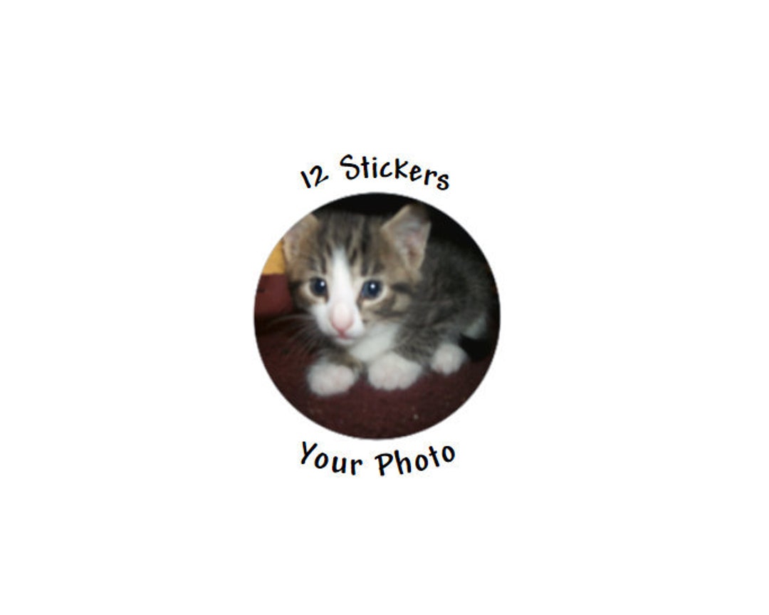 Custom Photo Stickers Custom Stickers 12-2 in Round Stickers Your Photo ...