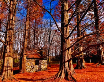 L'automne au moulin à farine