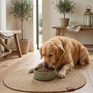 Handmade 100% natural jute dog bowl mat on a rustic light wood floor. This fringeless, hand-stitched placemat features a premium genuine leather tag and serves as a stylish, durable feeding station for dogs. The organic woven texture protects floors from food and water spills while providing a rustic, farmhouse aesthetic that blends seamlessly with modern pet home decor. Perfect for sustainable pet owners looking for functional and aesthetic dining solutions for their furry friends.