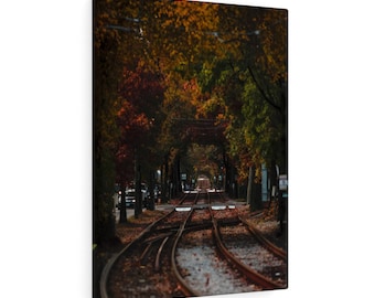 MBTA groen C lijn oktober gebladerte