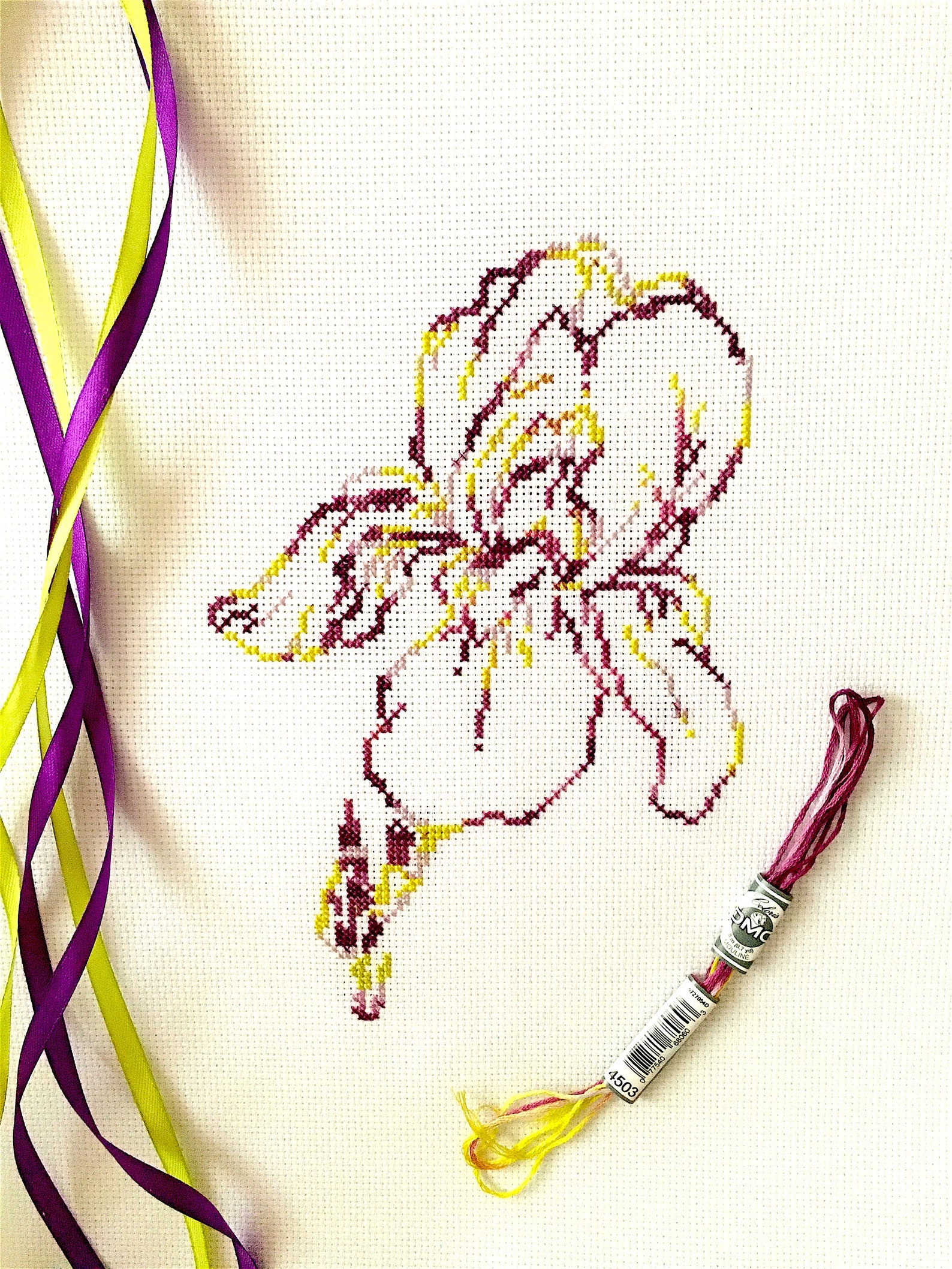 Varieagated Iris Cross Stitch Pattern Iris Coloris Flowers Etsy