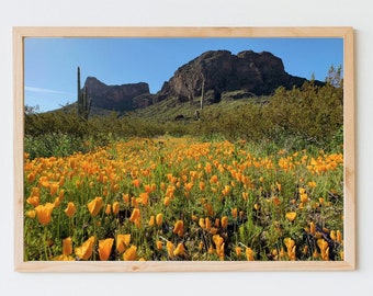 Arizona Superbloom 2023, Picacho Peak, Digital Download, Fine Art Landscape Photography.