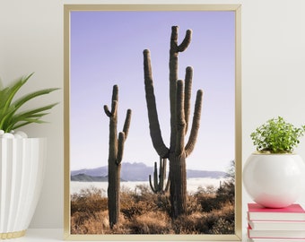 Fog Among the Saguaro Cacti. Superstition Mountains Arizona, Digital Download, Fine Art Landscape Photography.