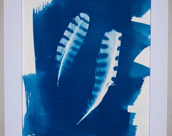 Cyanotype Framed Print Arizona Gila Woodpecker Feathers, 5x7" Inches