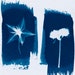 see more listings in the Various Small Cyanotypes section