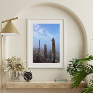 Fog Among the Saguaro Cacti. Superstition Mountains Arizona, Digital Download, Fine Art Landscape Photography. image 2