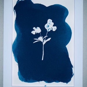 Cyanotype gerahmt Druck Stiefmütterchen 5 x 7&quot; Zoll
