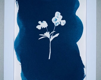 Cyanotype Framed Print Pansy 5x7" Inches