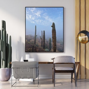 Fog Among the Saguaro Cacti. Superstition Mountains Arizona, Digital Download, Fine Art Landscape Photography. image 3