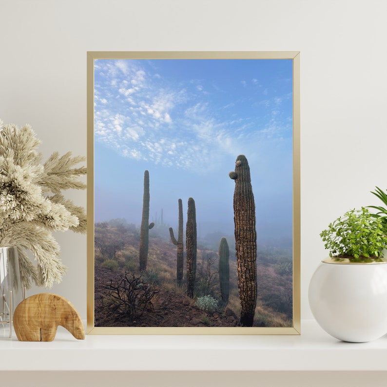Fog Among the Saguaro Cacti. Superstition Mountains Arizona, Digital Download, Fine Art Landscape Photography. image 8