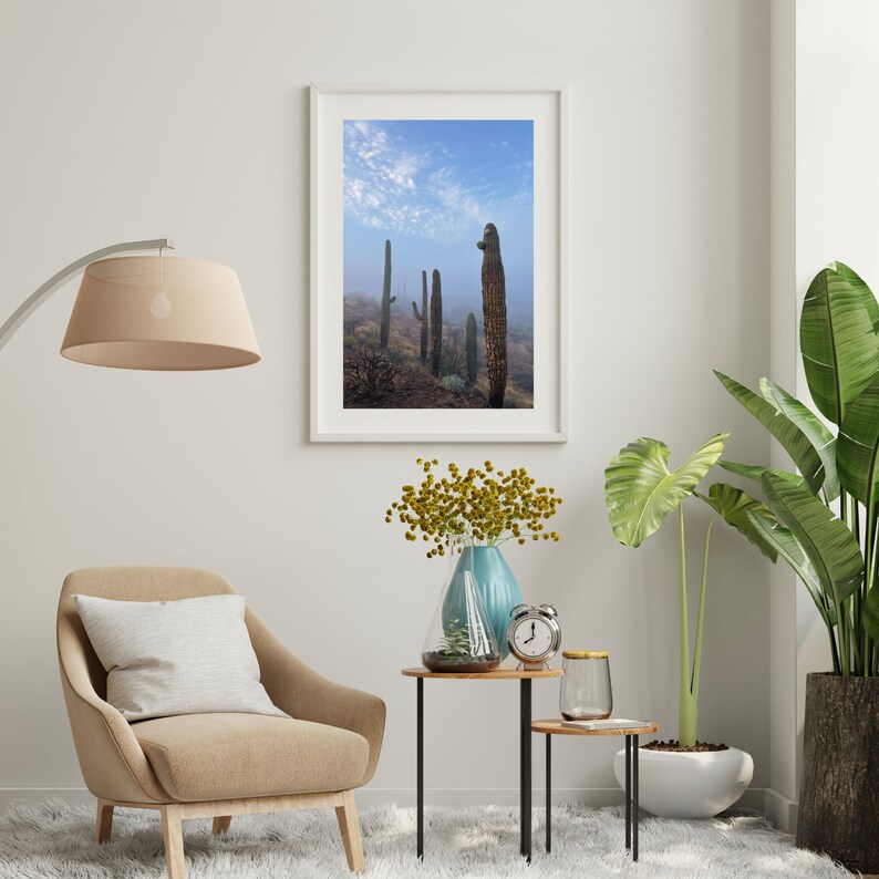 Fog Among the Saguaro Cacti. Superstition Mountains Arizona, Digital Download, Fine Art Landscape Photography. image 7