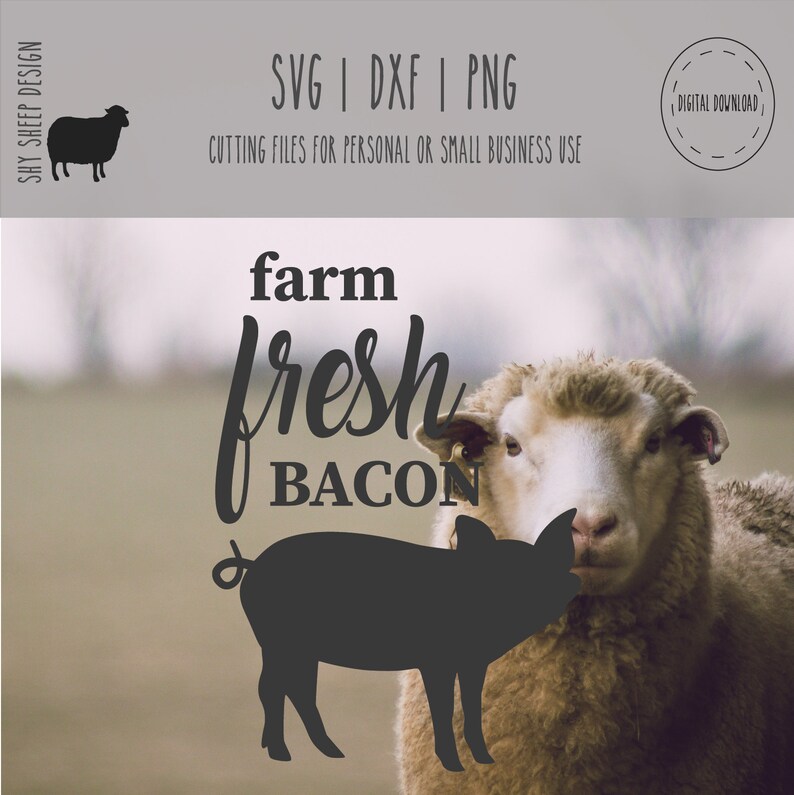Download Svg Sayings Farmhouse Svg Rae Dunn Vinyl Svg Sayings Farm Fresh Bacon Svg Svg Files For Cricut Southern Digital Quote Download Clip Art Art Collectibles