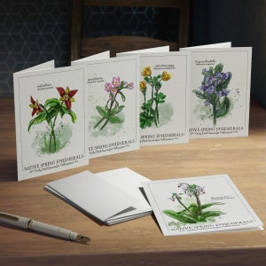 Tarjetas y regalos en blanco de flores silvestres, paquete de tarjetas efímeras, tarjeta de planta nativa, juego de tarjetas de flores, arte floral vintage, tarjetas en blanco de jardín, gracias