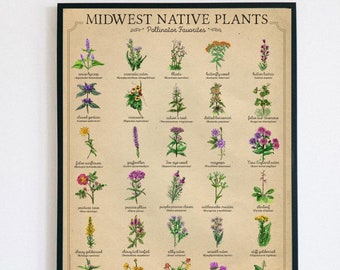 Wildflower poster, Pollinator plants poster, Vintage wildflower print, Midwest native plant poster, Prairie plants print , Bee donationt