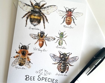 Bee Species Blank Cards, 8, 16, 24 Card Sets, Blank Bee Cards, Honeybee Cards, Bee Lover Gift, Bee Donation Bumblebee Cards, Thank you Cards