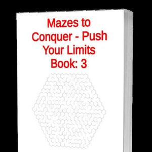 Maze Puzzle Book: Problem Solving for Adults & Teens