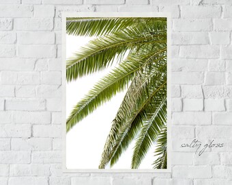 Palm Love Bw Right Modern Palm Tree Black And White Beach Etsy