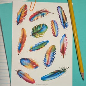 Colorful Parrot Feather Sticker Sheet Kiss Cut \ 12 Stickers