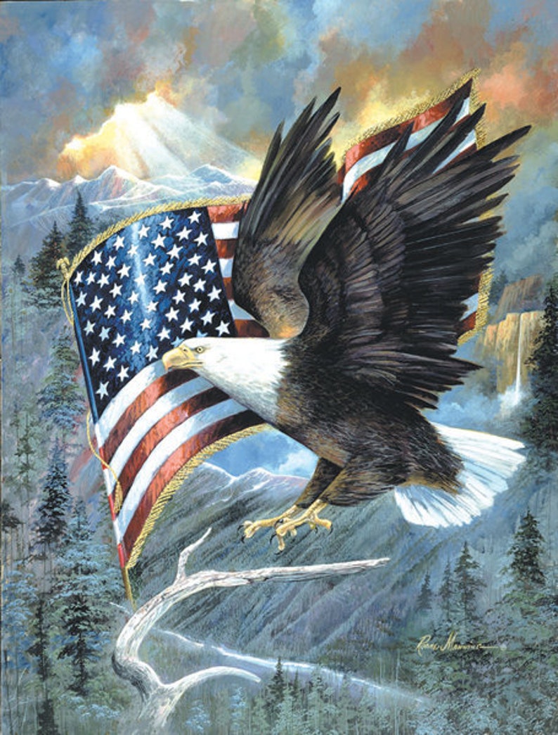 Ruane Manning Hobby Hobbies DIY Sunsout American Eagle 500pc Jigsaw Puzzle