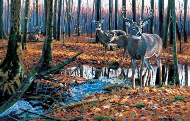 After the Rain 1000pc Jigsaw Puzzle by