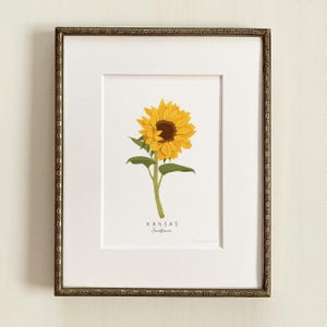 May include: A framed print of a sunflower with the text "KANSAS Sunflower" below it.