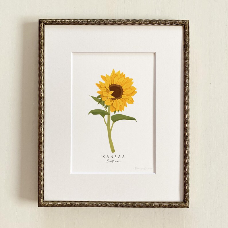May include: A framed print of a sunflower with the text "KANSAS Sunflower" below it.