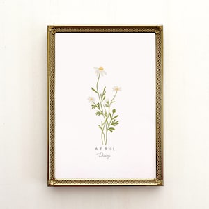 April Birth Flower Print, April Birth Month Flower, Daisy Flower, Daisy Print, Daisy Flower Art Print, Daisy Art