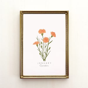 January Birth Flower Print | CUSTOMIZABLE | Birth Month Flower, Carnation Flower, Carnation Print, Carnation Flower Art Print, Carnation Art