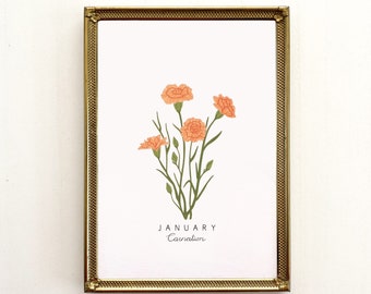 January Birth Flower Print | CUSTOMIZABLE | Birth Month Flower, Carnation Flower, Carnation Print, Carnation Flower Art Print, Carnation Art