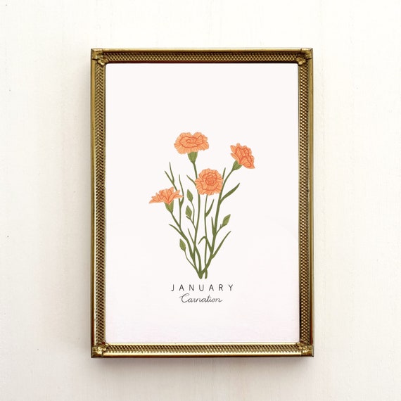 January Birth Flower Print | CUSTOMIZABLE | Birth Month Flower, Carnation Flower, Carnation Print, Carnation Flower Art Print, Carnation Art