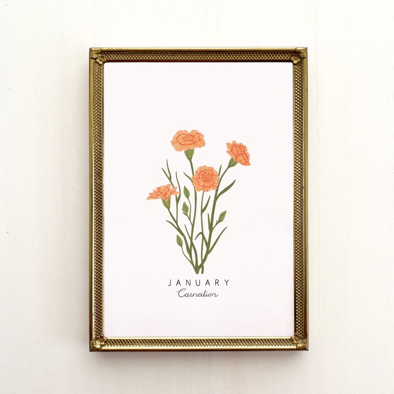 May include: A framed print with a gold frame and a white background. The print features a bouquet of orange carnations with green stems and leaves. The text "JANUARY Carnation" is printed below the flowers.
