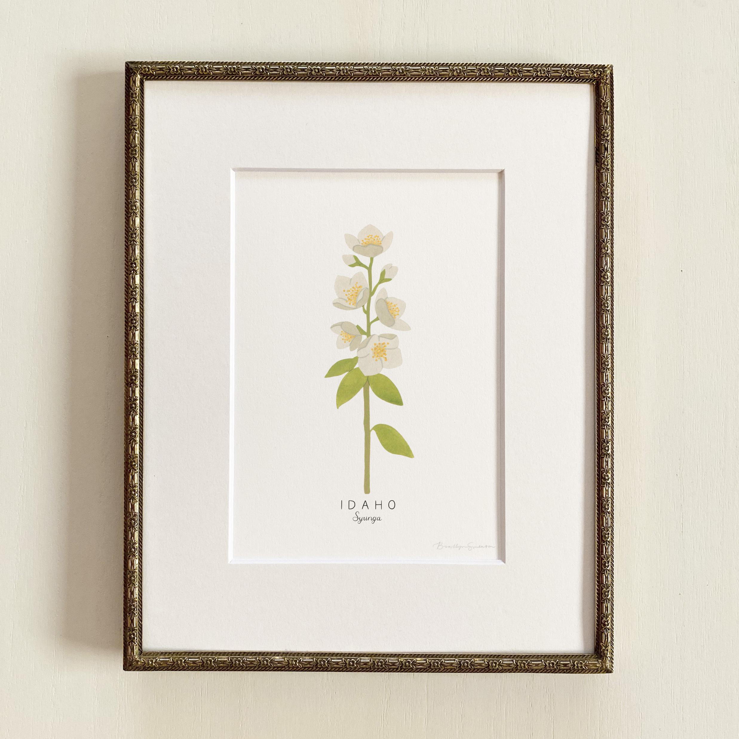 Idaho State Flower Print | CUSTOMIZABLE | Idaho Syringa State