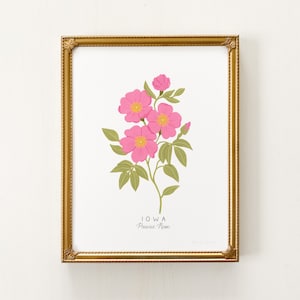Iowa State Flower Print | CUSTOMIZABLE | Iowa Art Print, Prairie Rose Artwork, Prairie Rose Art, Pink Rose Art Print, Iowa State