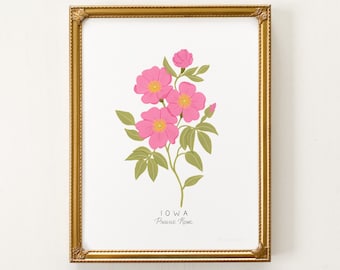 Iowa State Flower Print | CUSTOMIZABLE | Iowa Art Print, Prairie Rose Artwork, Prairie Rose Art, Pink Rose Art Print, Iowa State